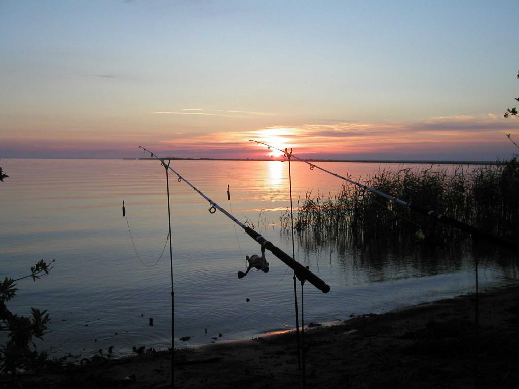 Россияне активно заинтересовались рыбалкой: топ самых живописных и рыбных мест России