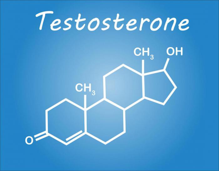 тестостерон