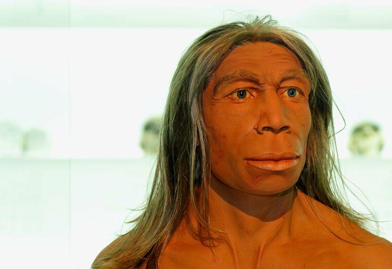 Неандертальцы - из Европы, люди - из Африки: что ученые знают о загадочном исчезнувшем народе