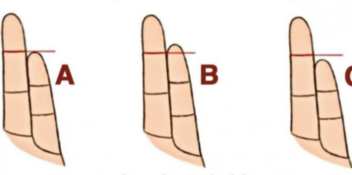 длина пальцев характер человека