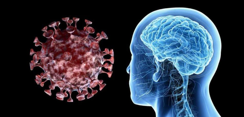 Страдают и другие органы: ученые выяснили, как коронавирус поражает мозг