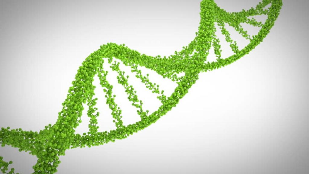 Природные ГМО: как растения и животные крадут гены у других видов, чтобы ускорить эволюцию