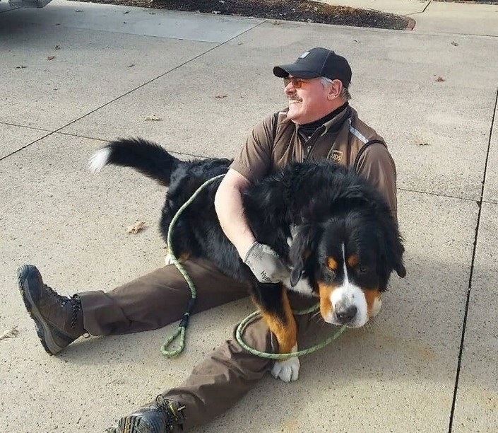 Курьеры США поделились снимками собак, которые встречались им на пути во время самоизоляции