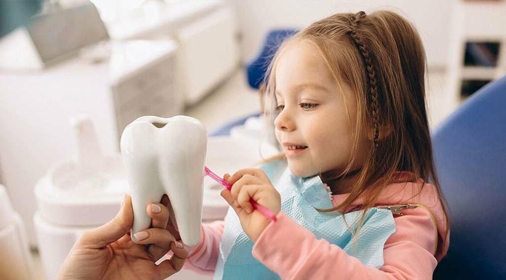Игры, мультики и награда. Как научить ребенка заботиться о зубках: лучшие способы и советы психологов