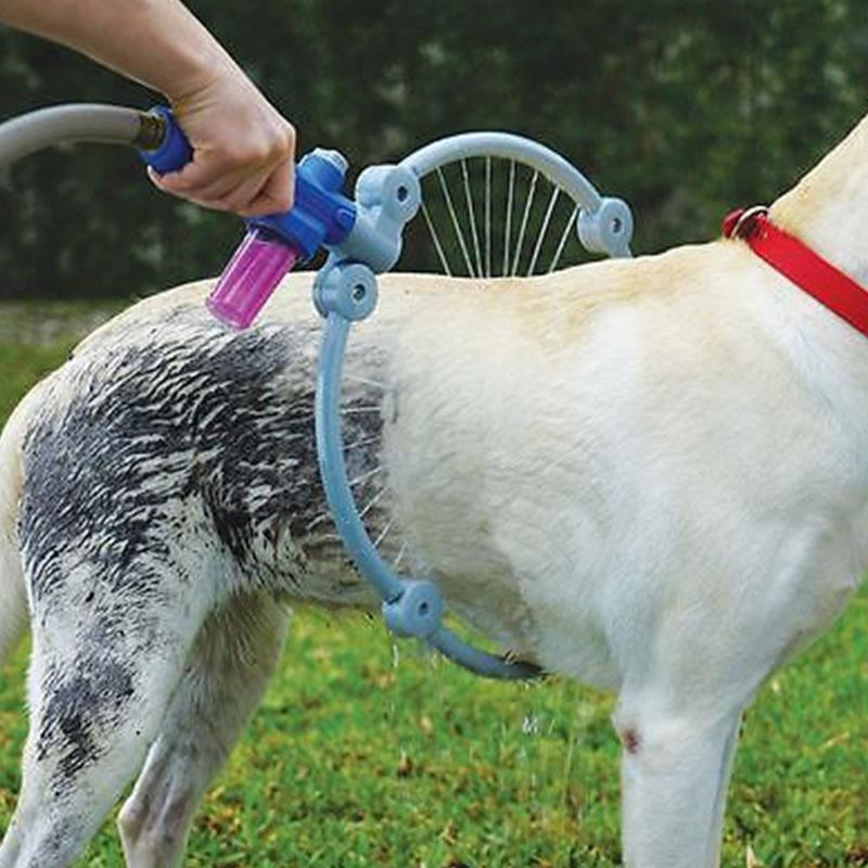 Кардиган или игрушка-зубочистка: самые полезные и самые бесполезные аксессуары для собак