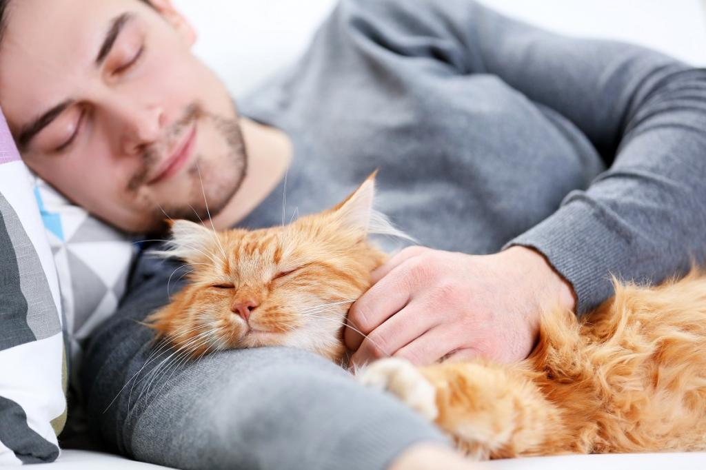 Британские ученые выяснили, как домашние кошки могут улыбаться: эмоция отличается от человеческой