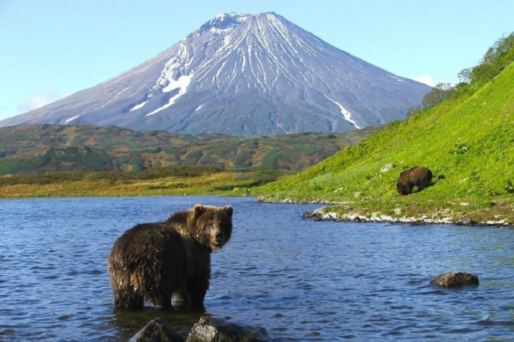 Навстречу рассвету и "золотым горам": куда поехать отдыхать в России, если не на юг