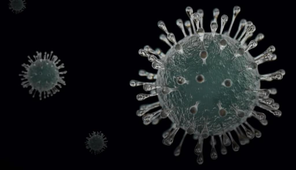 Российский биолог сравнила опасность от четырех основных мутаций коронавируса, которые циркулируют сегодня в мире