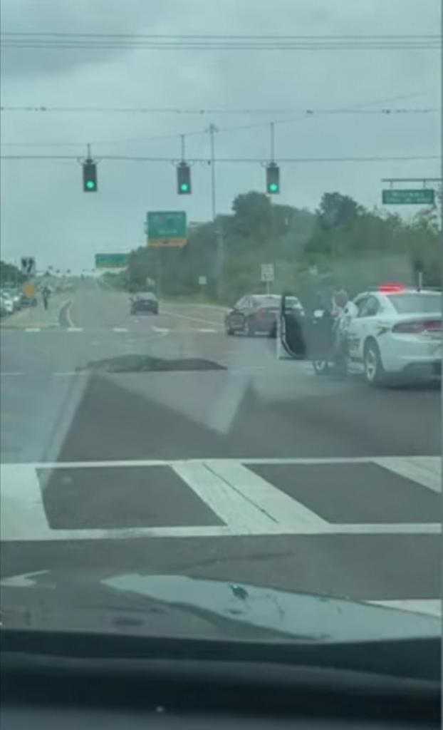 Аллигатор гуляет по проспекту среди машин: женщина снимала видео, сидя в салоне своего автомобиля