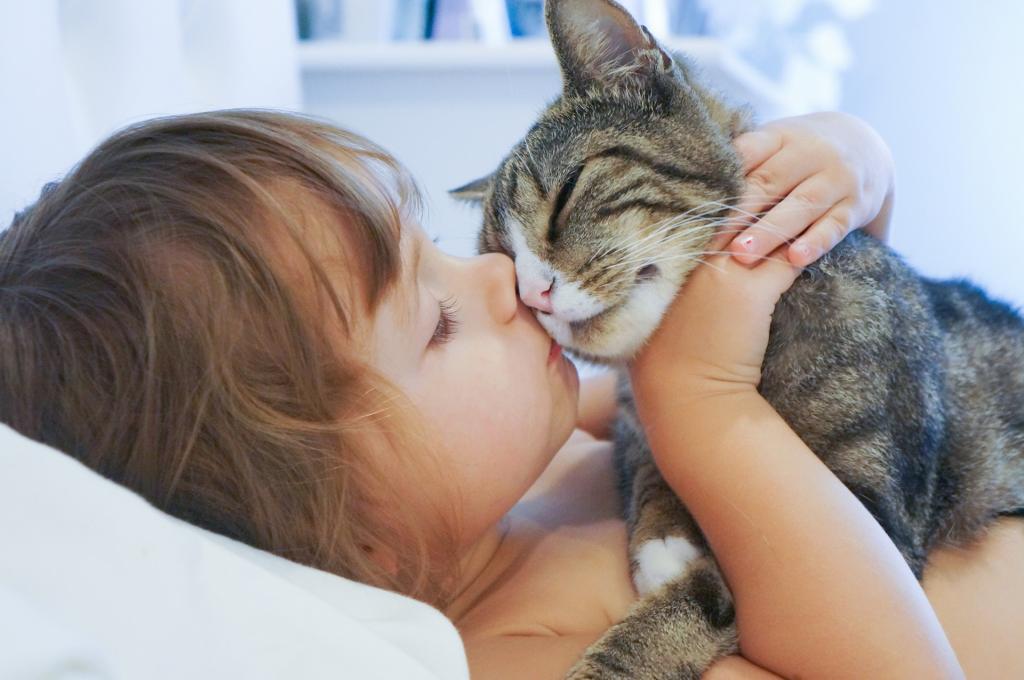 Они не эгоисты. Как кошки проявляют свою любовь к хозяину (5 повадок влюбленного питомца)