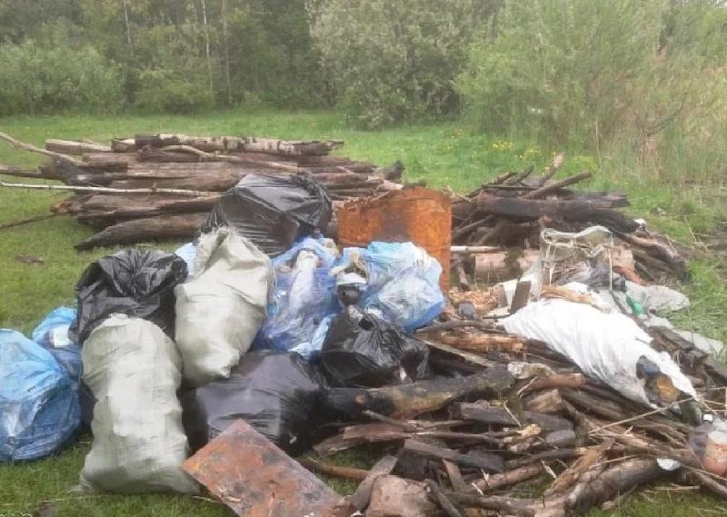 Все помойки по пути на дачу завалены ветками: мнение юриста о новом законе о сжигании мусора на дачном участке