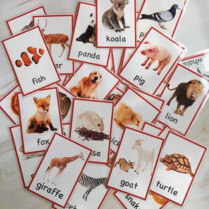 Дети учат английский: эффективный способ овладеть языком через простые игры и картинки