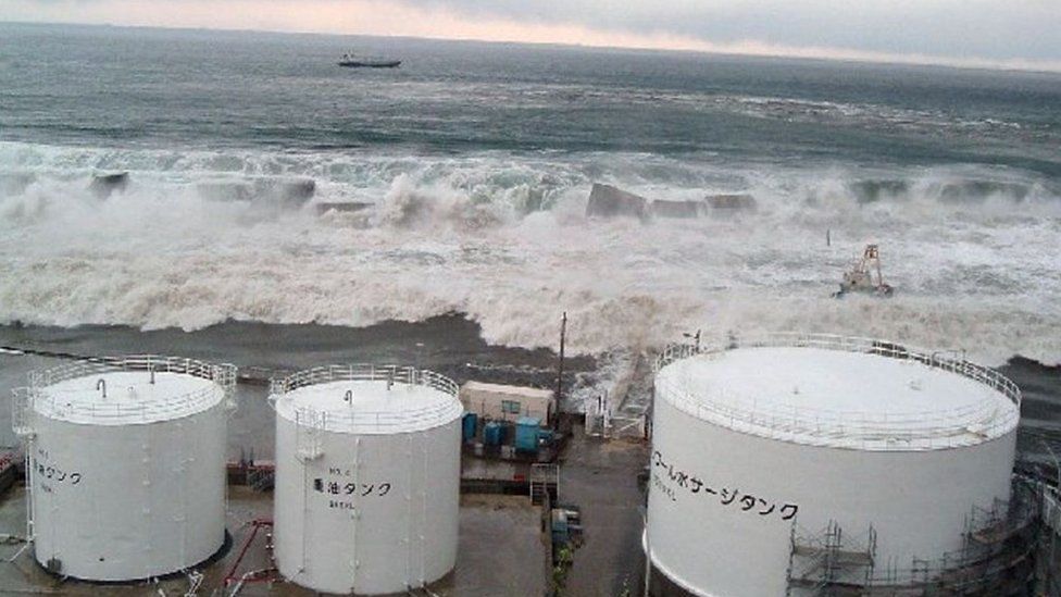 Дальневосточные мидии пострадают: эксперты не могут прогнозировать последствия слива вод Фукусимы
