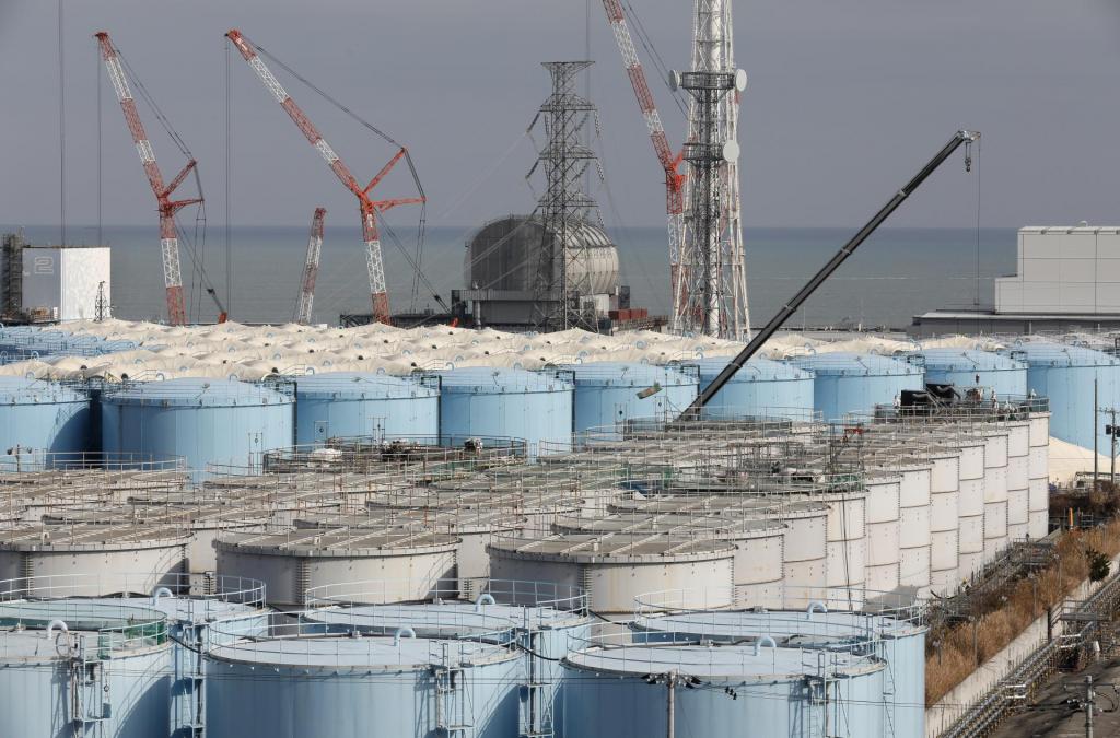 Дальневосточные мидии пострадают: эксперты не могут прогнозировать последствия слива вод Фукусимы