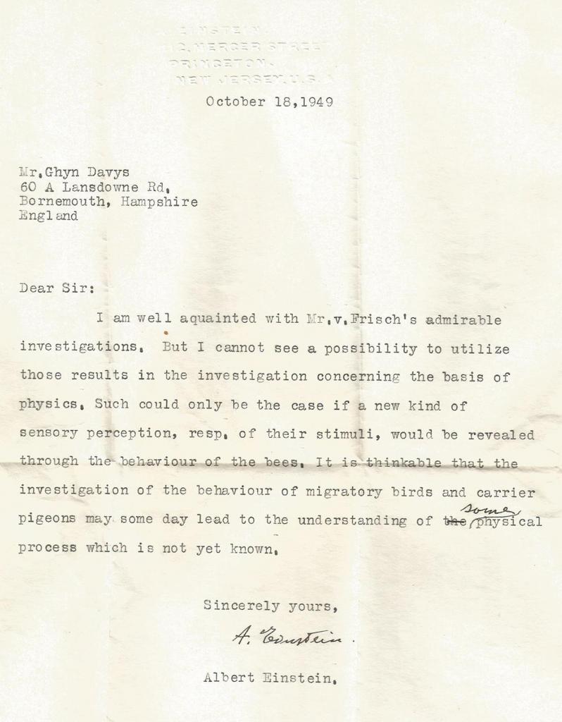 Опубликовано ранее неизвестное письмо Эйнштейна с теорией о птицах и пчелах, подтвержденной 70 лет спустя