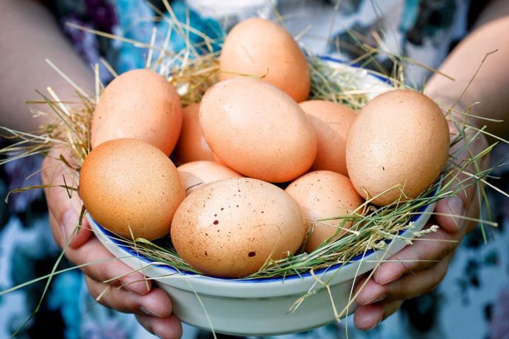 Как приготовить яйца, чтобы сохранить все витамины: 2 способа и 2 техники