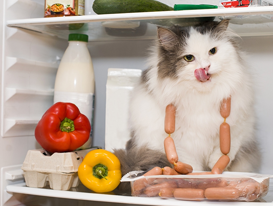 Эксперты рассказали, почему молоко не стоит хранить в дверце холодильника