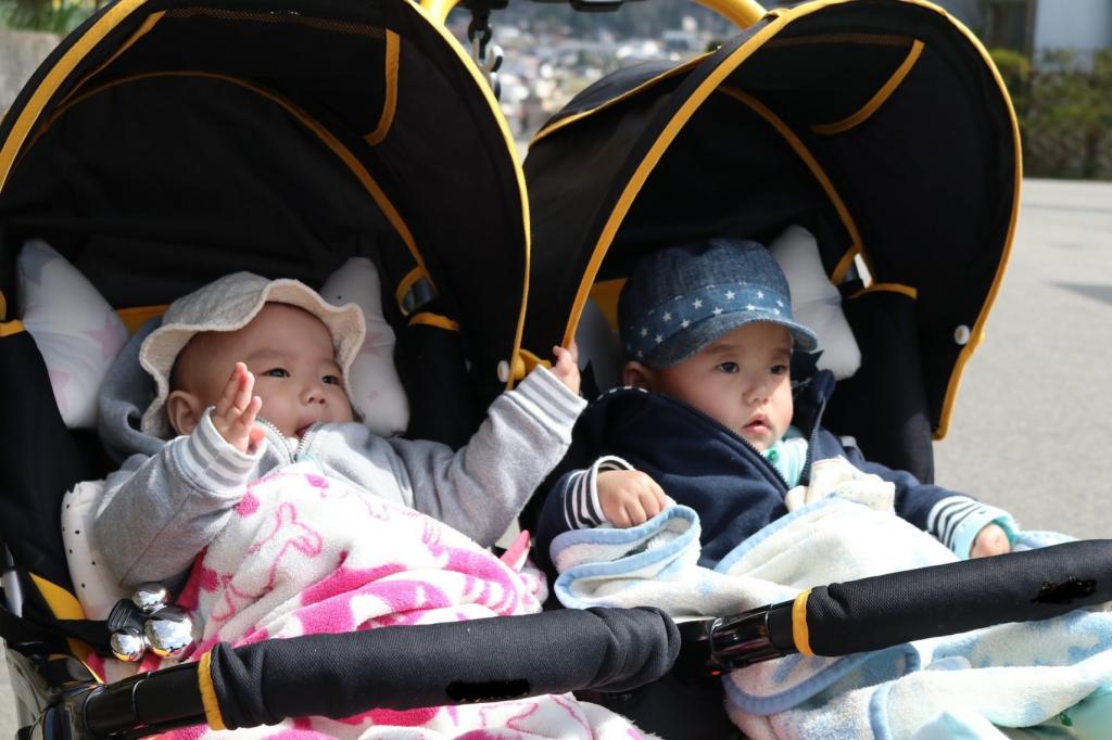 Для Японии редкость, но связано с генетикой: ученые рассказали, кто «отвечает» за появление близнецов