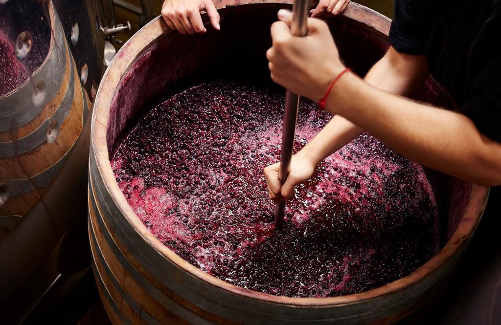 Российские специалисты собираются расшифровать геном диких дрожжей для производства вина. Это позволит избавиться от импорта составляющих