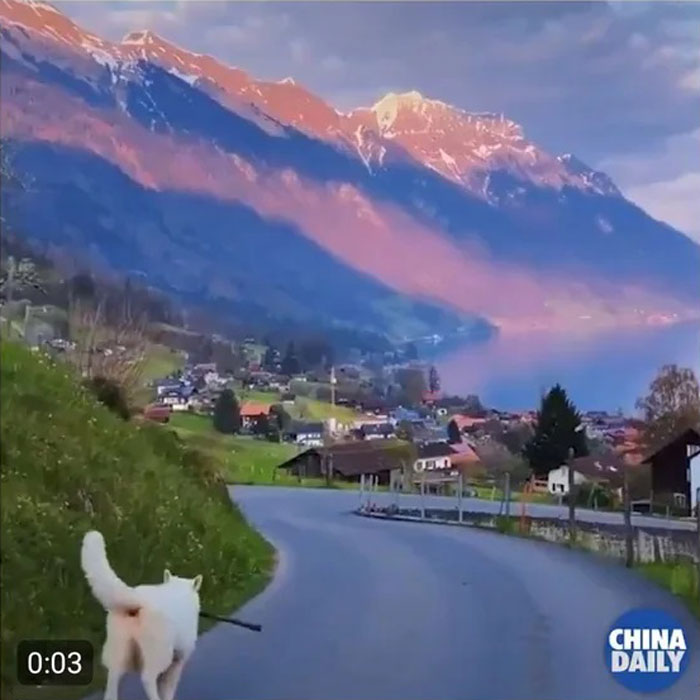 Китайские СМИ решили привлечь туристов красивыми пейзажами. Но в рекламе были не китайские горы, а Швейцарские Альпы
