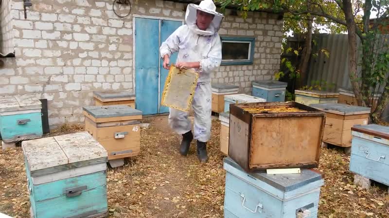 Перейдут ли аграрии на менее опасные пестициды: чего ждут от нового сезона пасечники Ставрополья