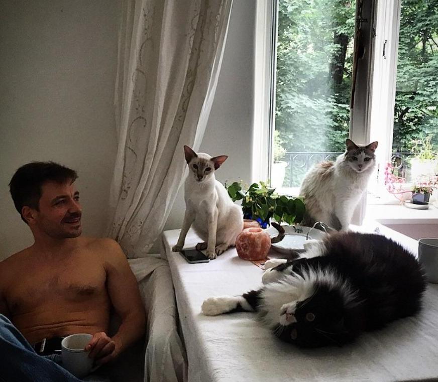 У актера Кирилла Гребенщикова живут пятеро котов, которых он подобрал на улице и выходил
