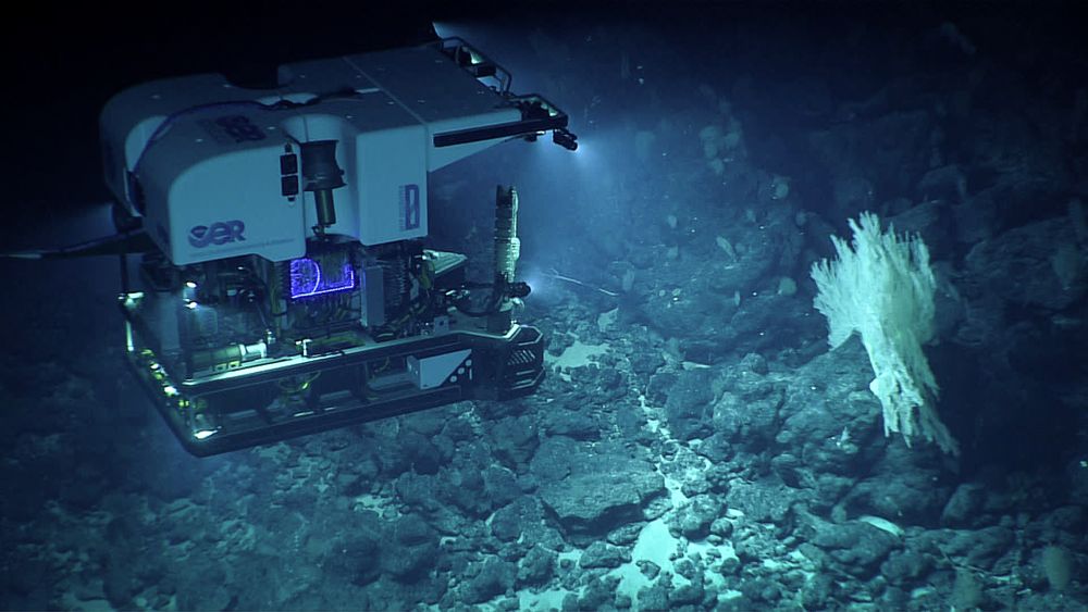 Учеными обнаружено аномальное количество ртути в глубинах Тихого океана