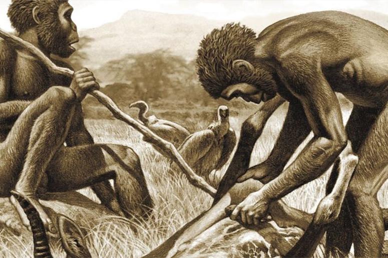 Нужно больше мяса: ученые выяснили, что помогло далеким предкам человека утвердиться на вершине пищевой цепи