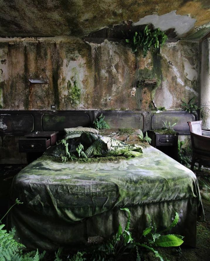 Природа отвоевывает свое: как выглядит заброшенный роскошный отель в Ирландии