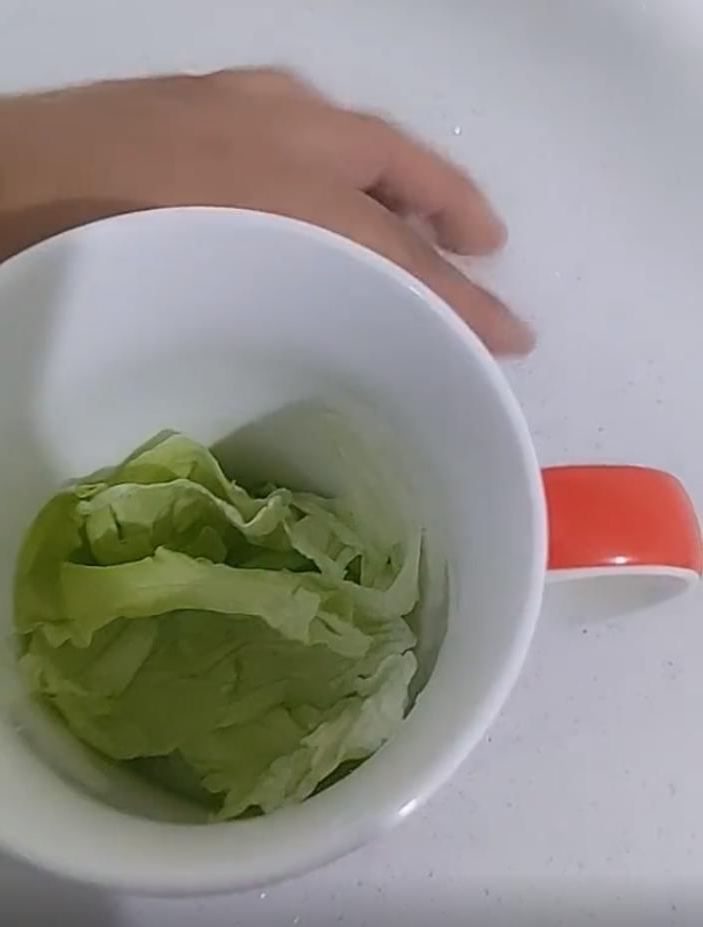 Зачем заливать салат-латук кипятком: натуральное средство для борьбы с бессонницей