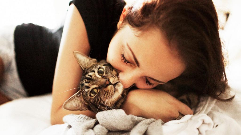 Почему нельзя целовать кошек: что говорят врачи и народные приметы