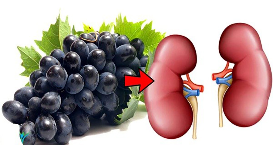 Предотвращает старение и защищает от инфекций: почему виноград должен быть красным