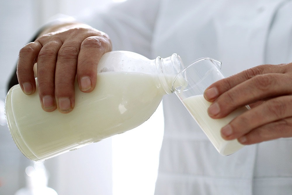 В России прорабатывают программу, в рамках которой дети в школах будут ежедневно обеспечиваться молоком в качестве дополнительного питания