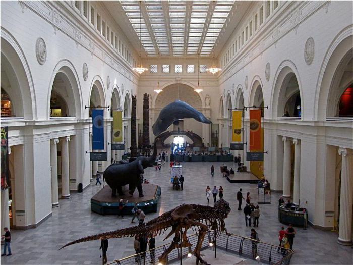 в этом музее лучшая коллекция скелетов динозавров