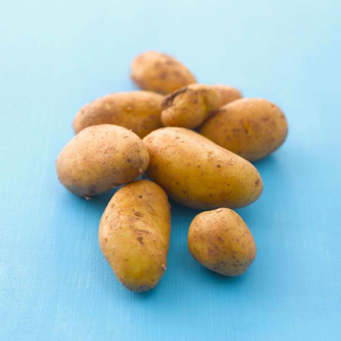 Картофель — универсальный ингредиент