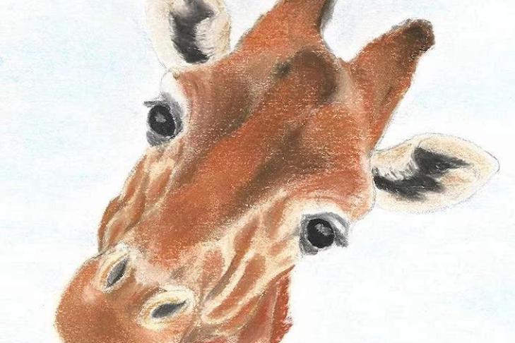 Почему так полезно рисовать животных и как этому научиться при отсутствии навыков