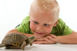 Отождествление с персонажем: как использовать технику «Черепаха» для развития самоконтроля у ребенка