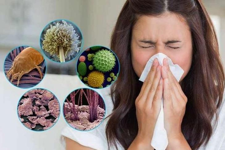 Как уменьшить количество аллергенов в каждой комнате дома: работающие способы и дельные советы