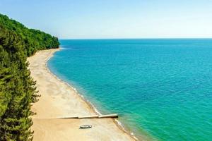 Отдых в Абхазии в 2024 году: какой курорт выбрать