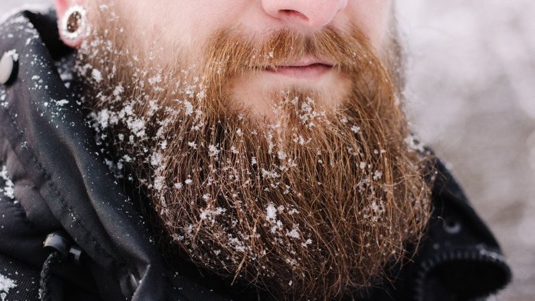 Что произойдет с мужчиной после того, как он отпустит бороду: только факты