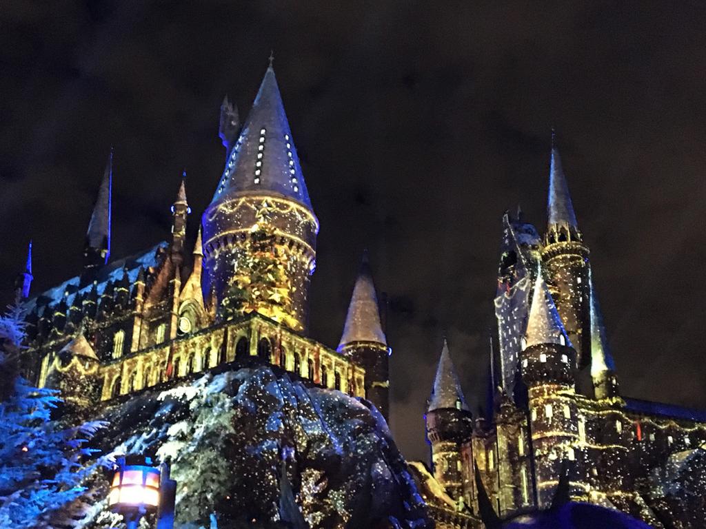 Поклонники Гарри Поттера могут поужинать в Рождество в Хогвартсе