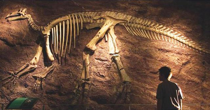 В итальянских Альпах обнаружен "чудотворный" динозавр, кости которого уцелели после взрывных работ