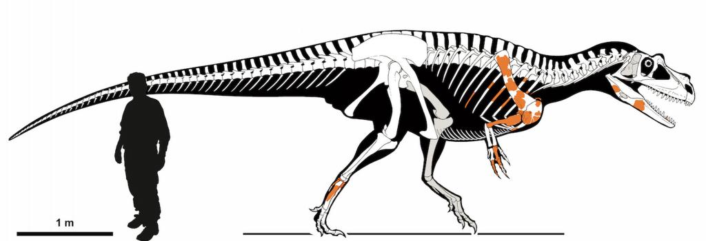 В итальянских Альпах обнаружен "чудотворный" динозавр, кости которого уцелели после взрывных работ