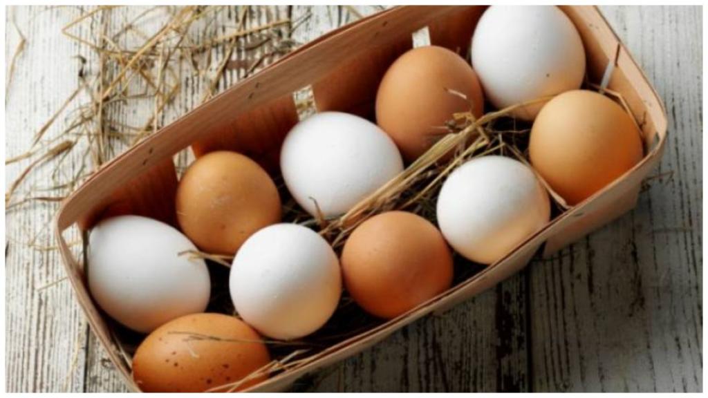 В чем разница между яйцами белого и коричневого цвета