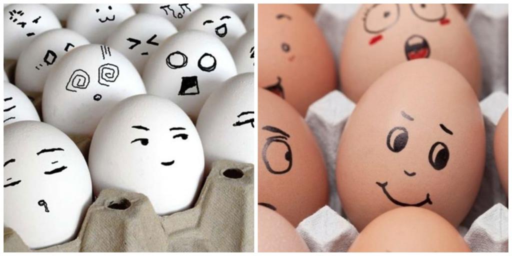 В чем разница между яйцами белого и коричневого цвета