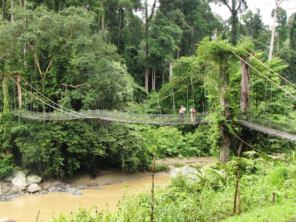 Лучшие экзотические направления: живописные места в джунглях и тропических лесах