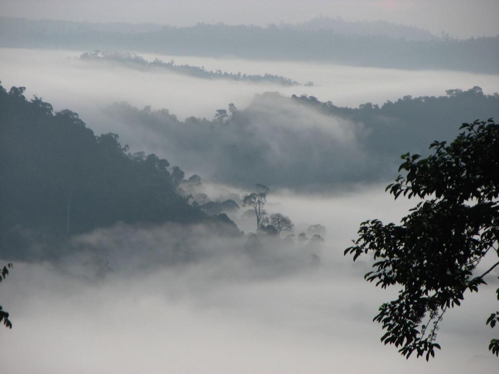 Лучшие экзотические направления: живописные места в джунглях и тропических лесах