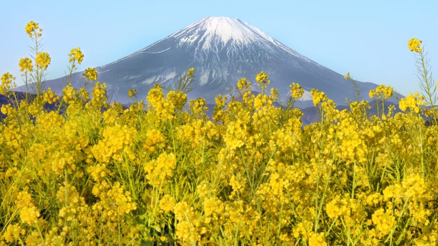 Самые красивые места Японии: что посмотреть в Стране восходящего солнца