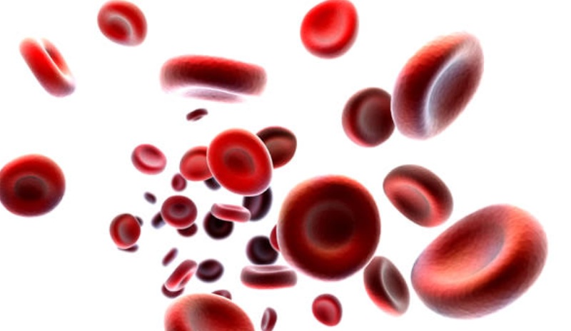 Что группа крови говорит о характере человека? Любопытная японская теория