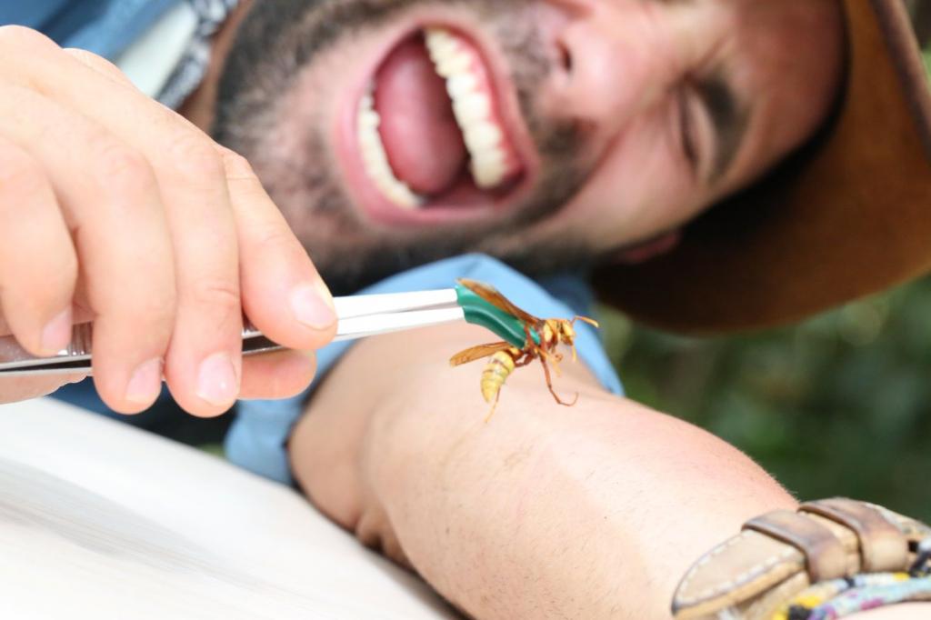 Видеоблогер обнаружил насекомое, которое жалит больнее остальных. А он знает в этом толк